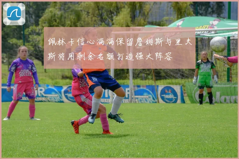 佩林卡信心满满保留詹姆斯与里夫斯将用剩余名额打造强大阵容