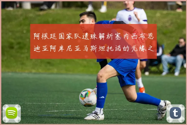 阿根廷国家队遗珠解析塞内西布恩迪亚阿库尼亚马斯坦托诺的无缘之路